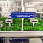 Sinh viên thiết kế hệ thống tự động tưới khi cây “khát” nước