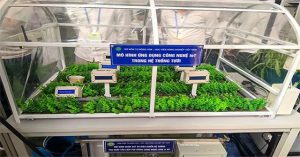 Sinh viên thiết kế hệ thống tự động tưới khi cây “khát” nước