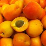 Những “siêu phẩm” kỳ lạ của bậc thầy thực vật Burbank