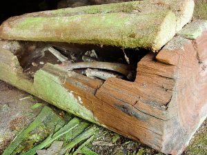Bí mật trong những ngôi mộ cổ được khai quật tại Việt Nam