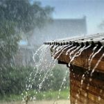 Đừng bất ngờ vì bạn hoàn toàn có thể ngửi thấy “mùi” của mưa