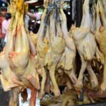 Ca tử vong thứ 9 do nhiễm H5N1 ở Campuchia