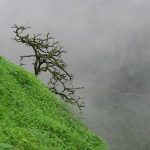 Ngày mai miền Bắc rét đậm, có thể có mưa đá