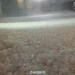 Mưa đá to bằng trứng gà ở Trung Quốc