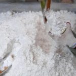 Loại muối đắt nhất thế giới được sản xuất thế nào?