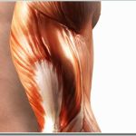 Cơ nhân tạo tự làm lành