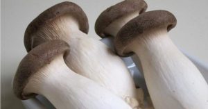 Nên mua nấm đùi gà dài hay ngắn, người bán hé lộ sự thật bất ngờ