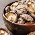 Loại cây Việt Nam có nhiều, được ví như “nữ hoàng của các loại nấm”: Bồi bổ cơ thể rất tốt!