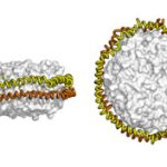 Tiêu diệt bệnh ung thư bằng công nghệ “đĩa nano”