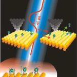 Sử dụng tia nano laser chữa bệnh mắt