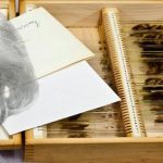 Câu chuyện về những thứ kỳ quái nhất từng được đem ra trưng bày trong bảo tàng