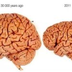Não người bị thu nhỏ do biến đổi khí hậu?