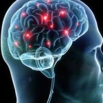 Tham vọng chế tạo não nhân tạo hoạt động nhanh hơn não người