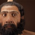 Người Neanderthal ngăn nhân loại khỏi bị bệnh cúm xóa sổ bằng cách nào?
