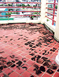 Bí quyết chống thấm nhà ở (1)