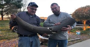 Nông dân phát hiện “siêu voi” huyền thoại mastodon giữa đồng