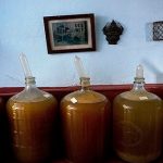 Nông dân Cuba dùng bao cao su để ngâm rượu trái cây