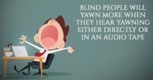 Những sự thật thú vị về hiện tượng ngáp có thể bạn chưa biết