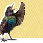 Nghệ thuật thuyết phục vẫn y như 2.000 năm trước, thời Aristotle!