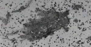 Phát hiện nghĩa địa tàu bí ẩn ở vùng tìm kiếm MH370