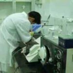 Nhiều nghiên cứu về vắc-xin cúm gia cầm