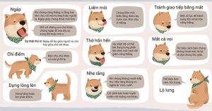 Giải mã ngôn ngữ cơ thể của chó và mèo
