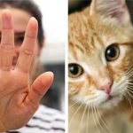 Tại sao con người có 5 ngón tay chứ không phải là 4 hay 6 ngón?