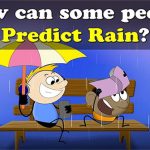 Lý do nhiều người có thể dự đoán mưa qua mùi không khí