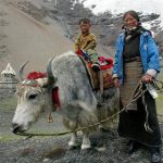 Người Tây Tạng sống được trên núi cao nhờ “họ hàng” tuyệt chủng