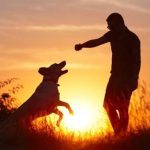 Phát hiện động trời về “thần giao cách cảm” giữa người và thú
