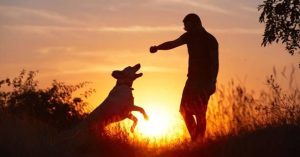 Phát hiện động trời về “thần giao cách cảm” giữa người và thú
