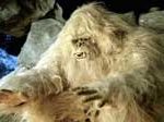 Phát hiện mới nhất về bí ẩn Người Tuyết Yeti