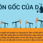 Nguồn gốc của dầu mỏ