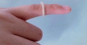 Bước đầu thử nghiệm thành công vòng chống côn trùng sản xuất bằng máy in 3D
