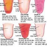 Đoán sức khỏe qua lưỡi của bạn