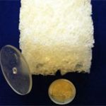Nhựa phân hủy sinh học giúp giảm ô nhiễm môi trường