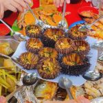 Phát hiện dược chất quý từ trứng cầu gai vàng