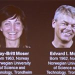 Công bố chủ nhân của Giải Nobel Y học năm 2013