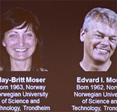 Công bố chủ nhân của Giải Nobel Y học năm 2013