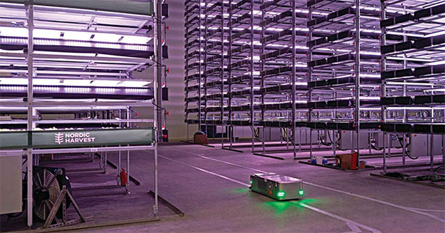 Đan Mạch ra mắt nông trại thẳng đứng rộng 7.000m2