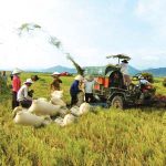 Ứng dụng công nghệ sinh học trong nông nghiệp