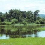 Bảo tồn và phát triển bền vững vùng đất ngập nước