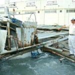 Nhiều dòng sông… thum thủm