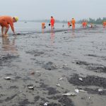 Vịnh Hạ Long ô nhiễm dầu nặng nhất cả nước