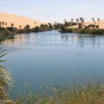 Bất ngờ với ốc đảo tràn ngập cây xanh và bóng mát giữa sa mạc Sahara