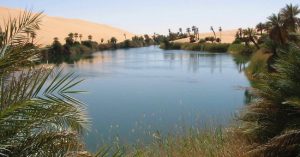 Bất ngờ với ốc đảo tràn ngập cây xanh và bóng mát giữa sa mạc Sahara