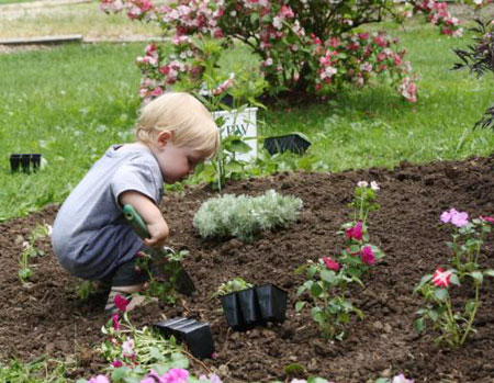 Dầu máy ô tô làm từ… mỡ động vật