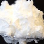 Loại protein từ nấm có thể thay thế lòng trắng trứng