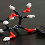 Bằng chứng bất ngờ về nguồn gốc ngoài hành tinh của con người