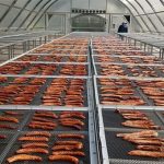 Nhà kính khí đối lưu giúp phơi, sấy nông sản cả đêm lẫn ngày